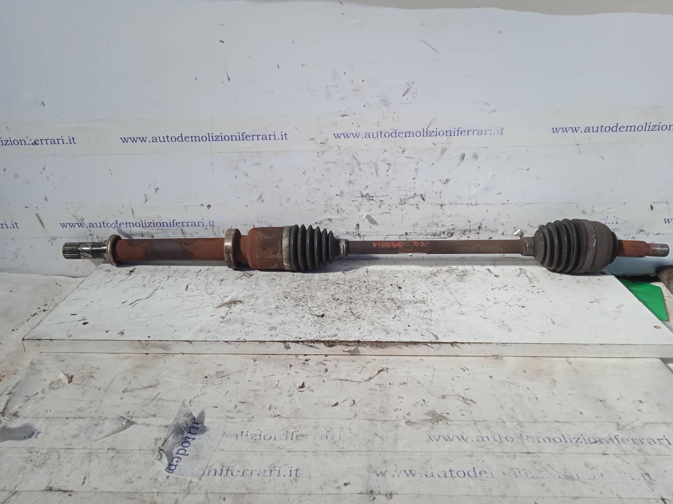 Semialbero ant. compl. dx.